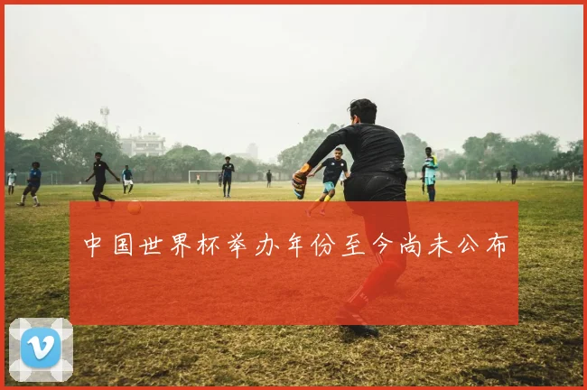 中国世界杯举办年份至今尚未公布