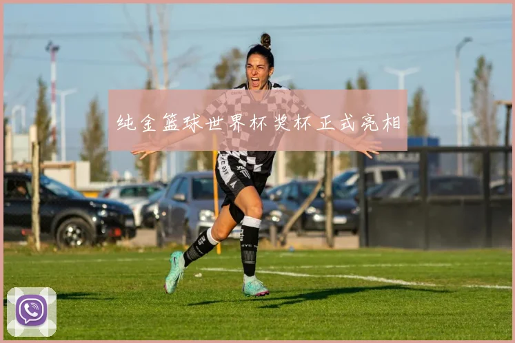 纯金篮球世界杯奖杯正式亮相