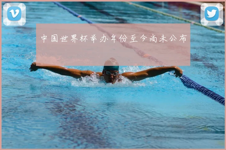 中国世界杯举办年份至今尚未公布